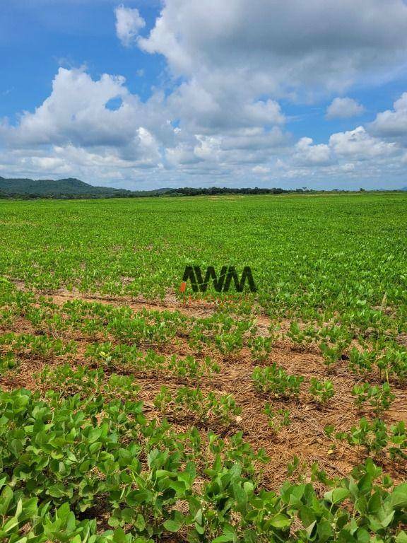 Fazenda à venda, 5130400M2 - Foto 2