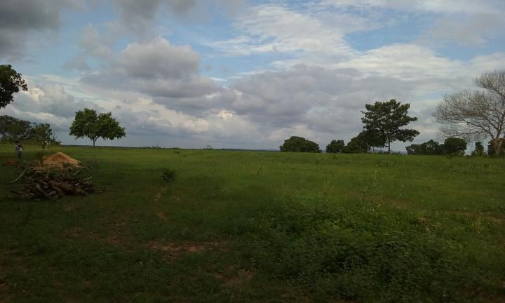 Fazenda-Sítio-Chácara - Foto 4