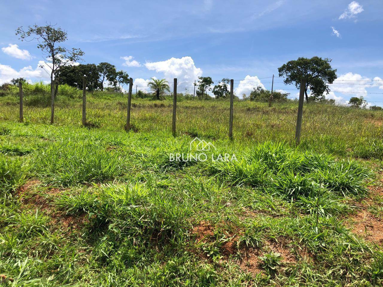 Terreno à venda, 20000M2 - Foto 7