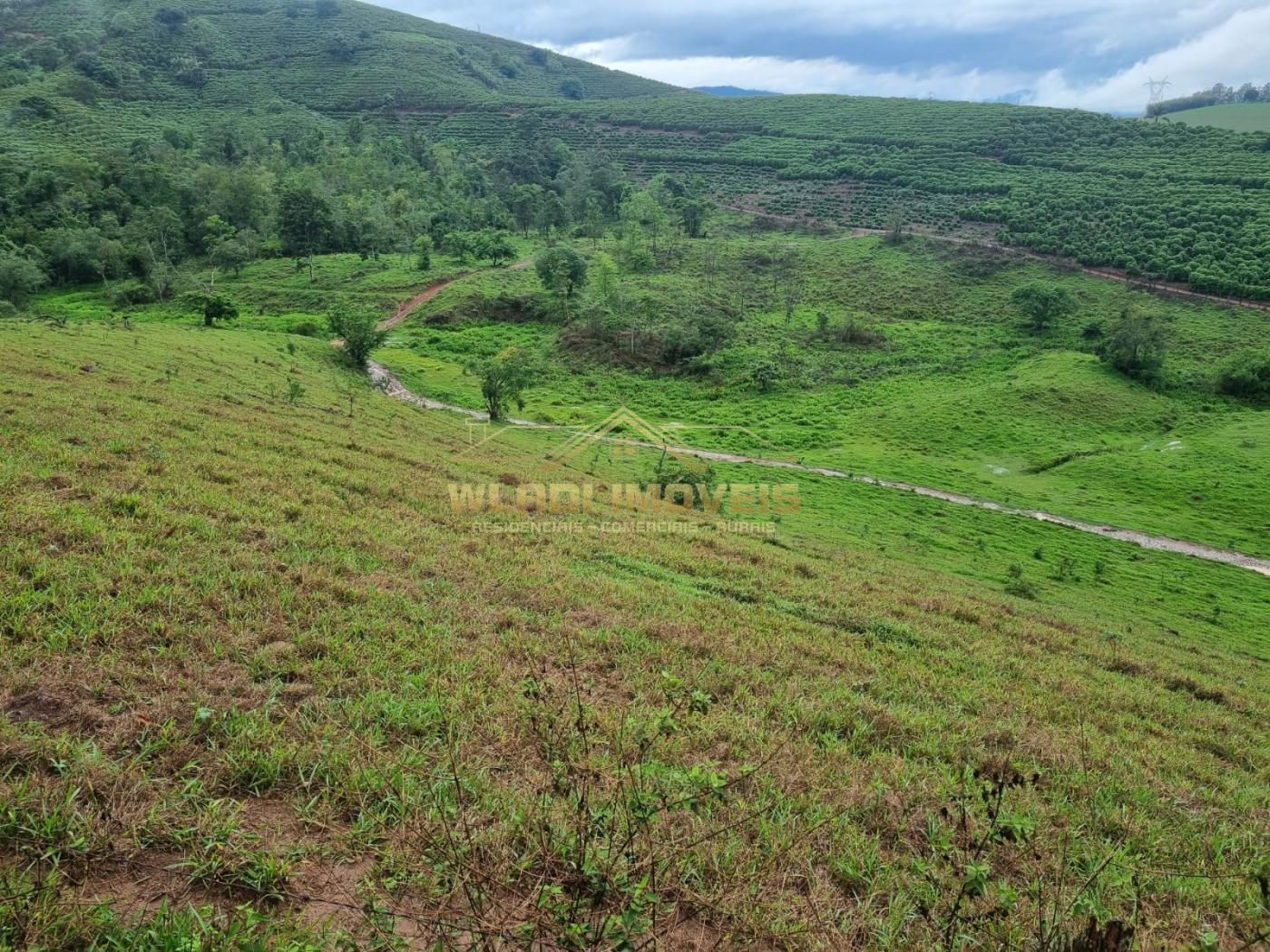 Fazenda à venda, 100m² - Foto 5