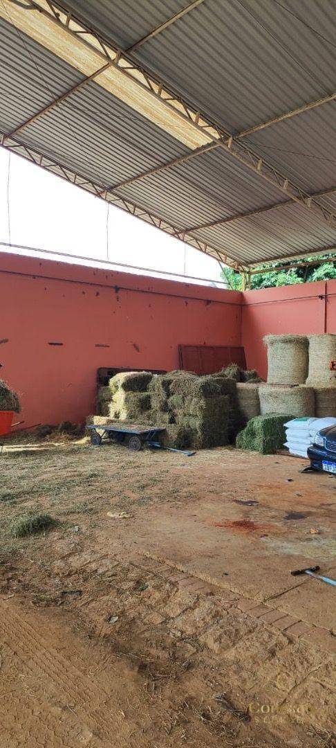 Fazenda-Sítio-Chácara, 136 hectares - Foto 10