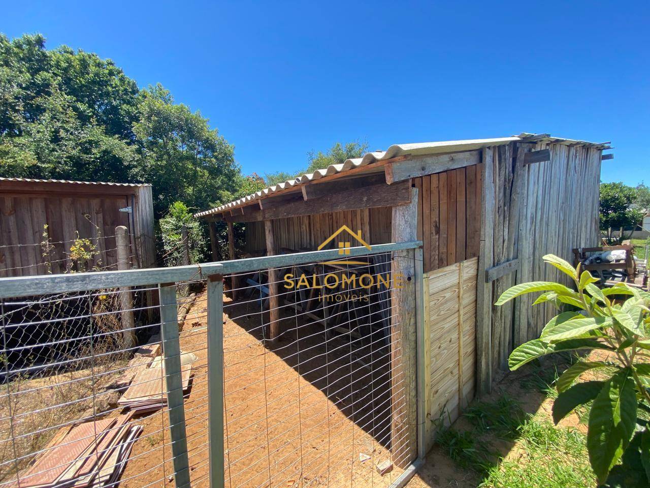 Sítio, 3 quartos, 1170 m² - Foto 3