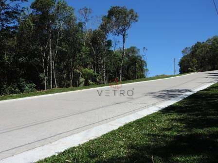 Loteamento e Condomínio à venda, 603M2 - Foto 5