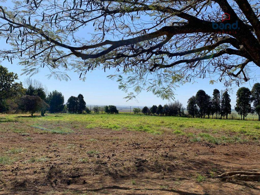 Haras e Área Rural Padrão à venda com 8 quartos, 1000m² - Foto 27