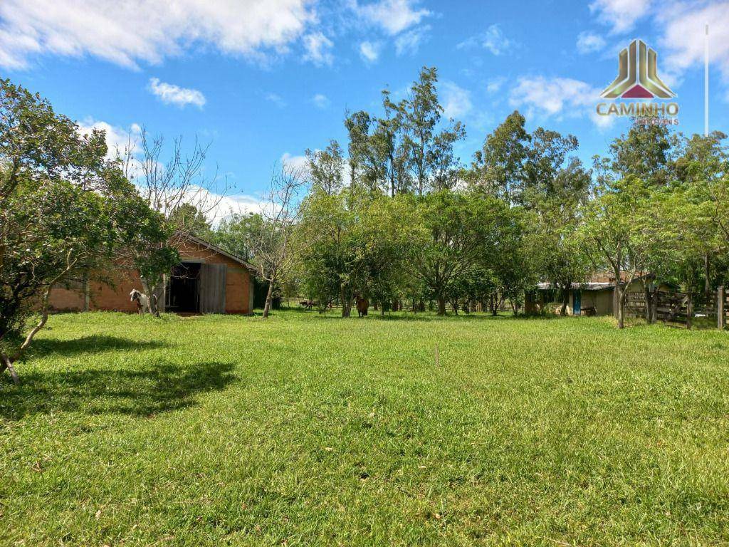 Fazenda à venda com 6 quartos, 600000M2 - Foto 40