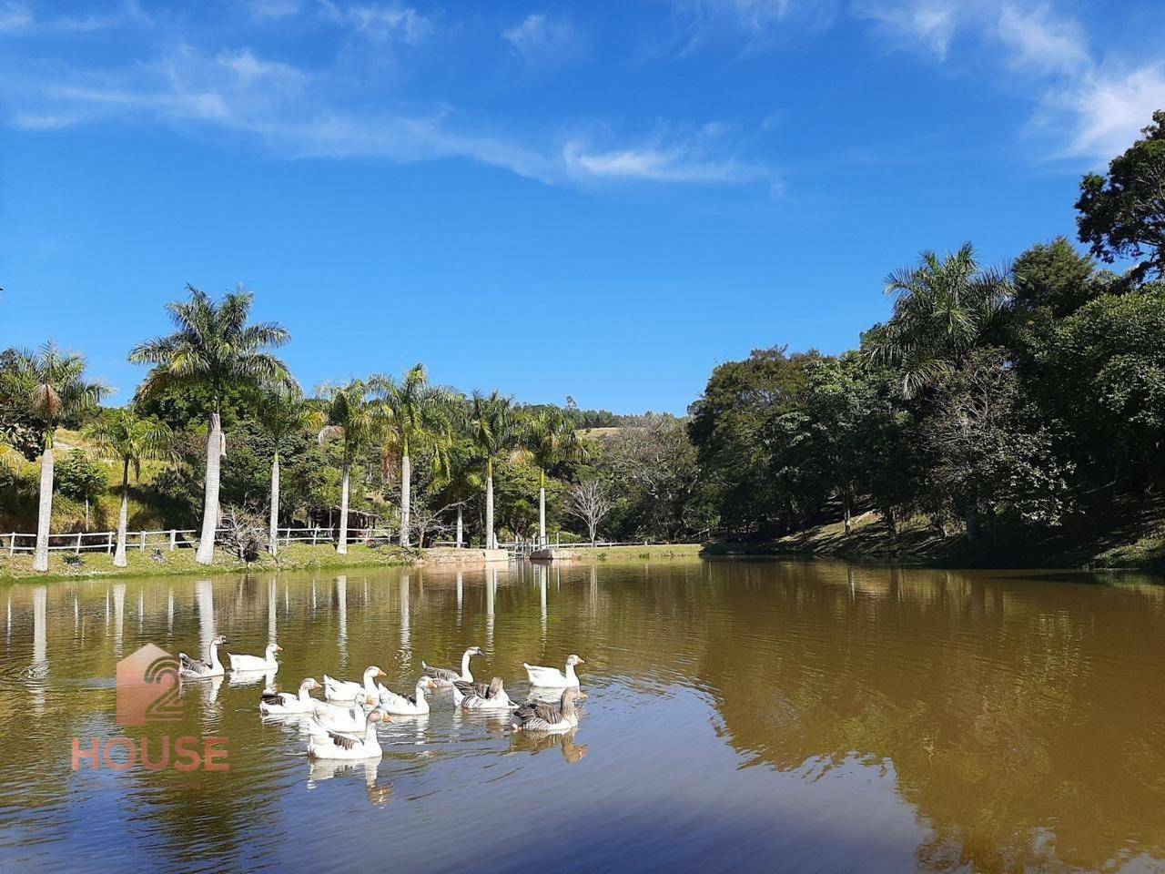 Fazenda à venda, 410000M2 - Foto 14