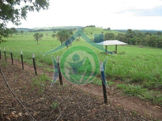 Fazenda-Sítio-Chácara - Foto 4