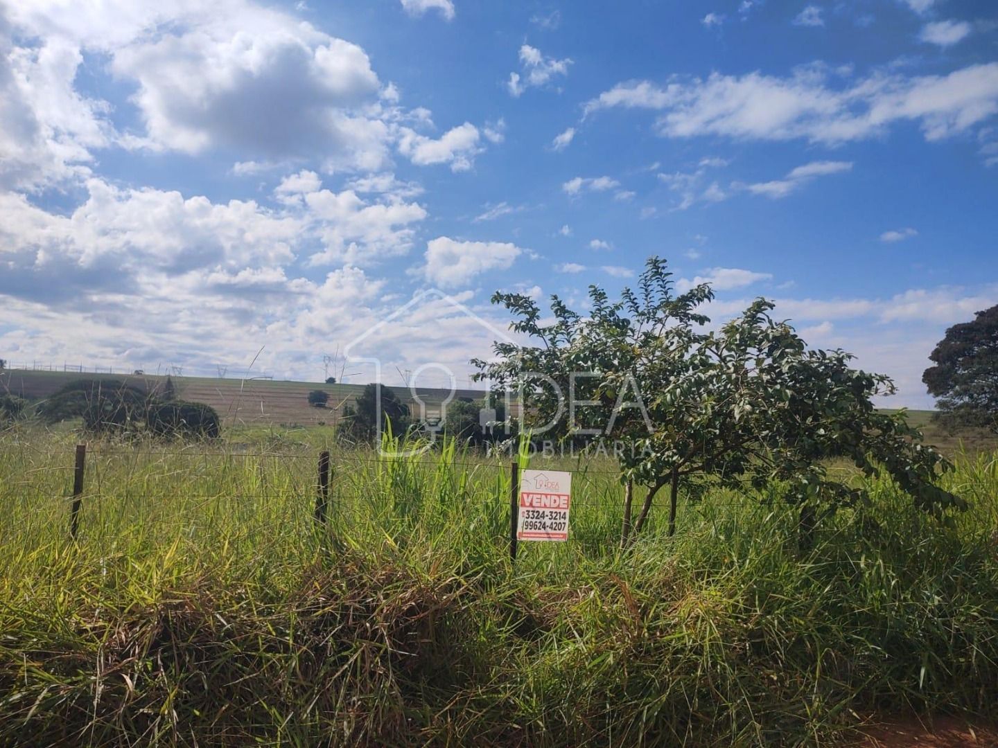 Chácara à venda, 10000M2 - Foto 1