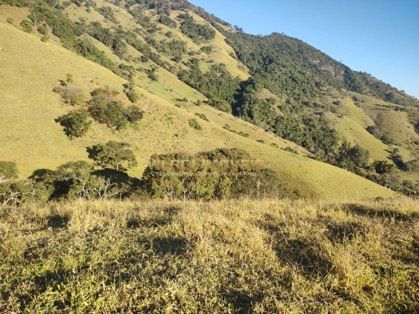 Terreno à venda, 20000m² - Foto 11