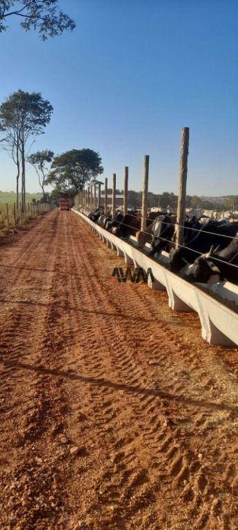 Fazenda à venda, 726000M2 - Foto 34