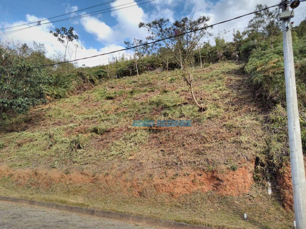 Loteamento e Condomínio à venda, 596M2 - Foto 9