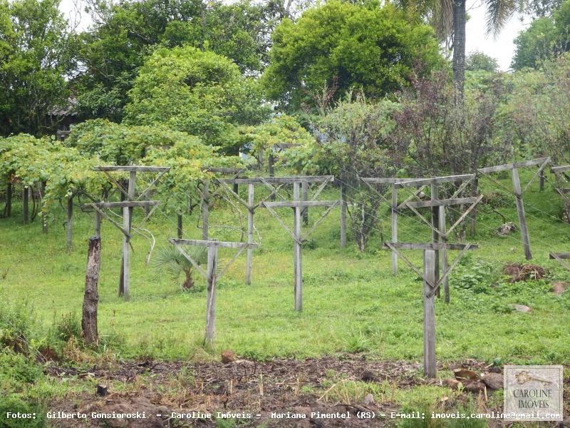 Fazenda à venda com 3 quartos, 60000m² - Foto 14