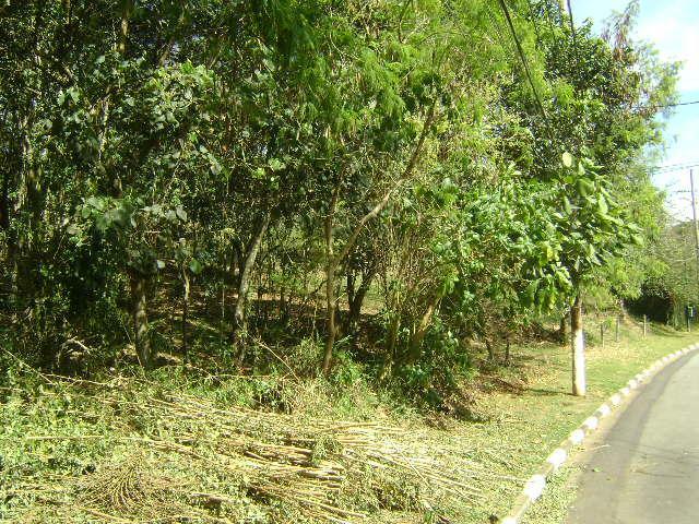 Loteamento e Condomínio à venda, 1307M2 - Foto 3