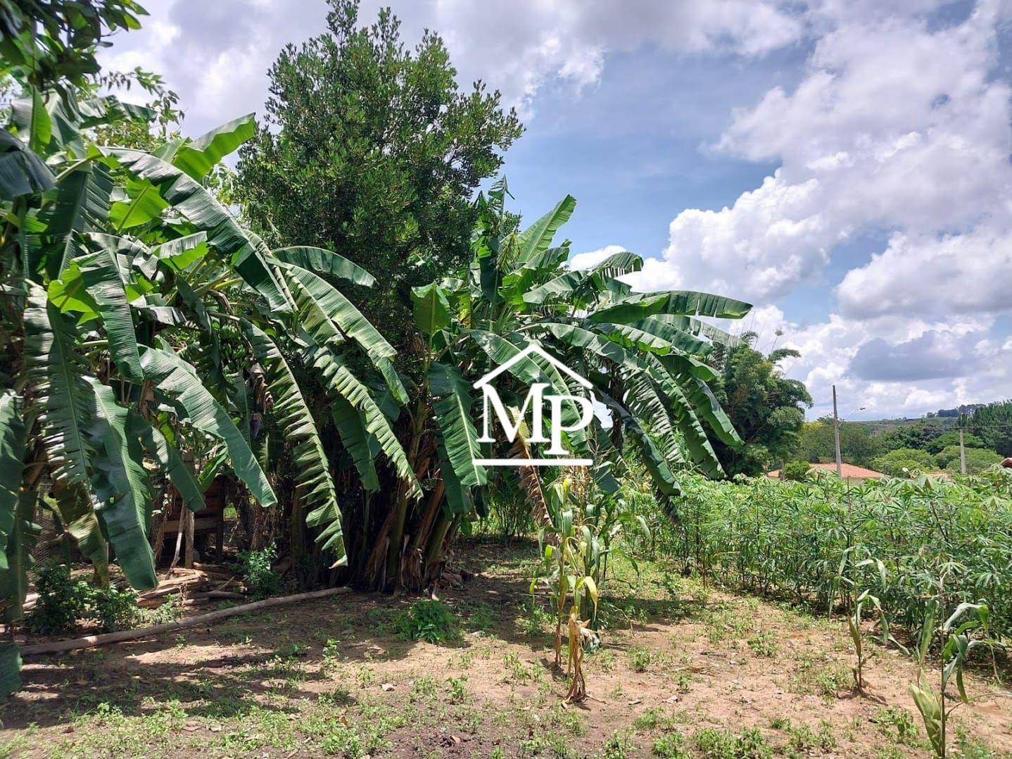 Chácara, 4 quartos, 6548 m² - Foto 22