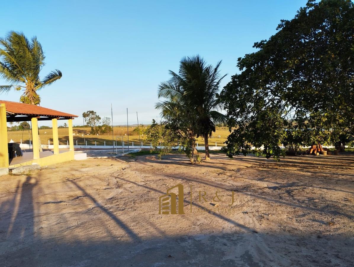 Fazenda à venda com 5 quartos, 5000m² - Foto 22