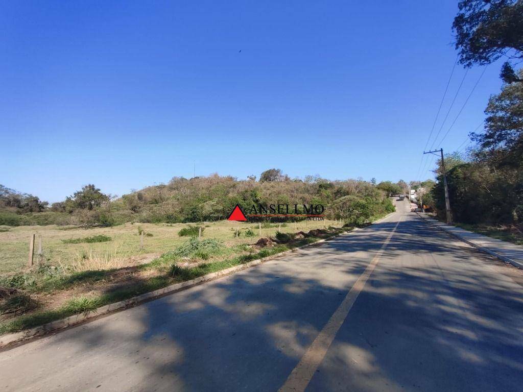 Terreno, 6 hectares - Foto 4