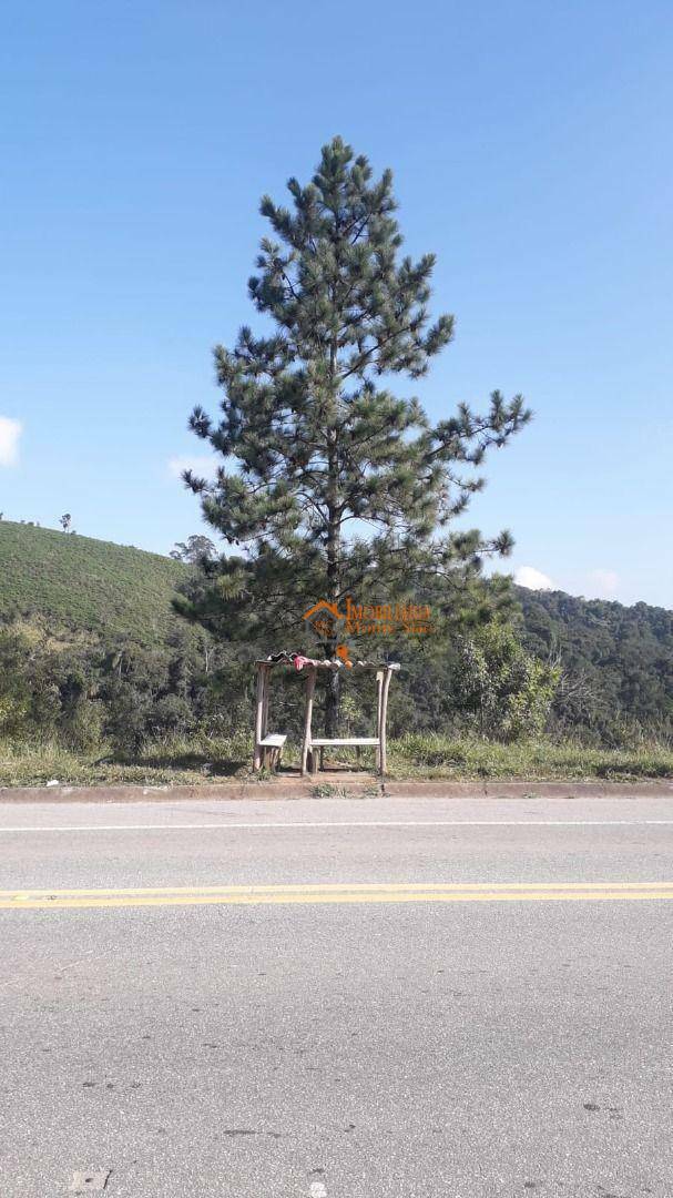 Terreno à venda, 225M2 - Foto 2
