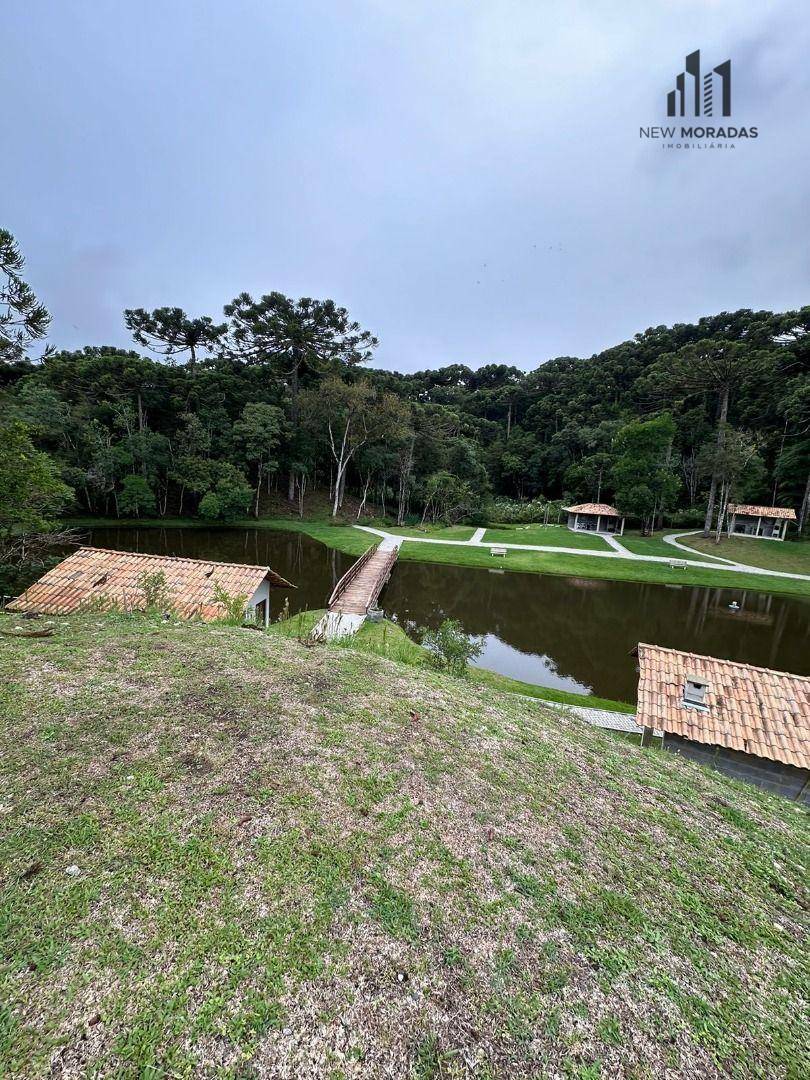 Chácara, 2 hectares - Foto 8