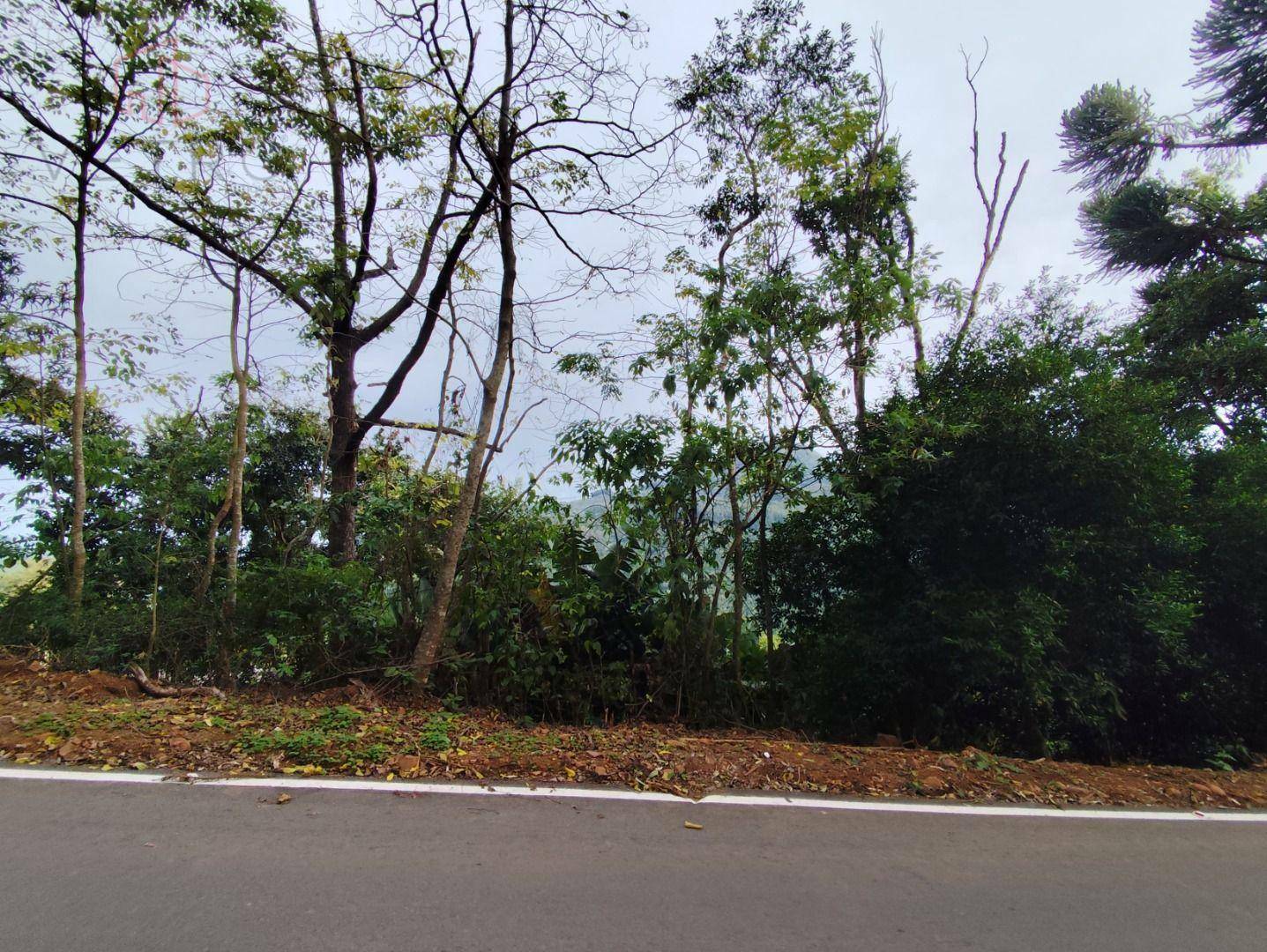 Terreno à venda, 1300M2 - Foto 8