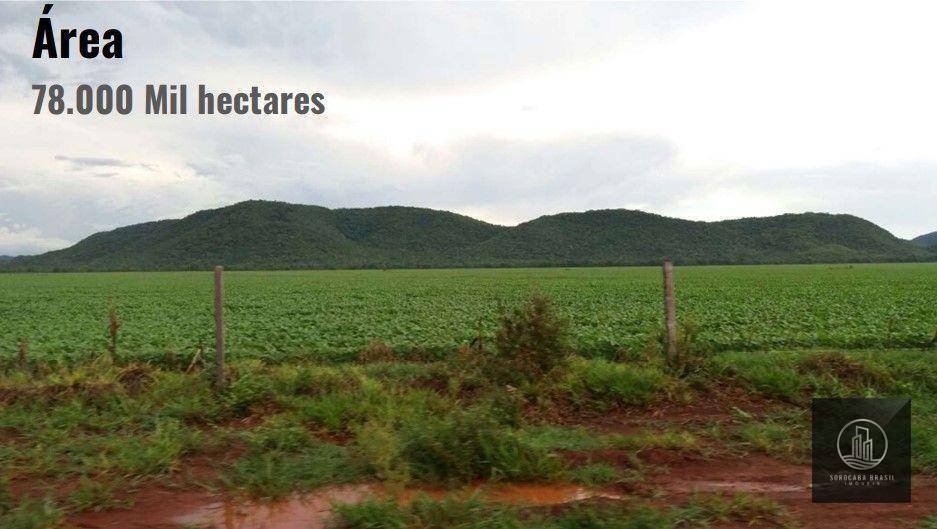 Fazenda-Sítio-Chácara, 78000 hectares - Foto 1