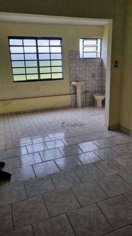 Fazenda à venda com 3 quartos, 250m² - Foto 12