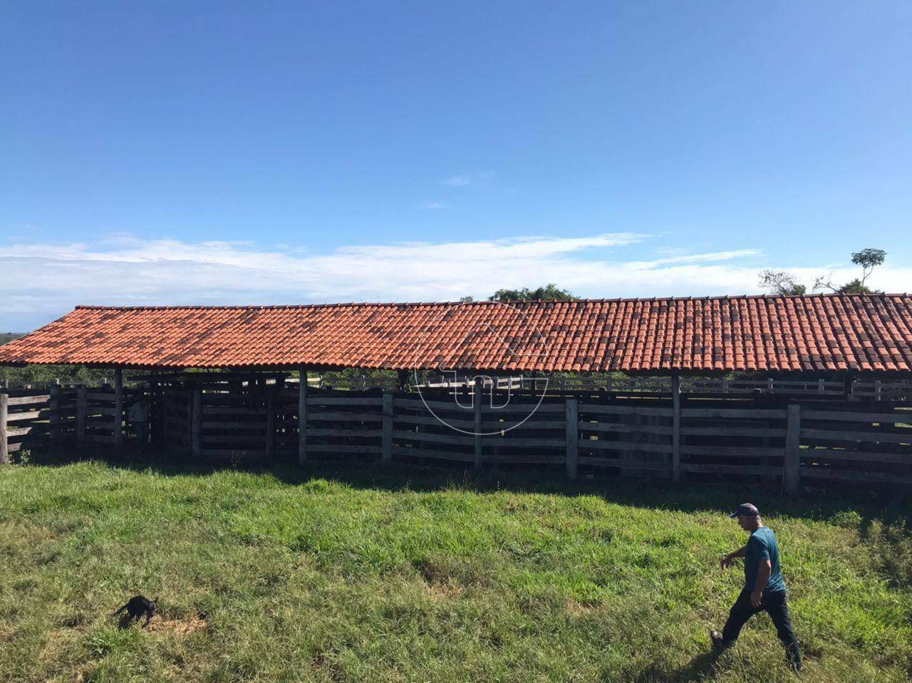 Fazenda-Sítio-Chácara, 3793 hectares - Foto 4