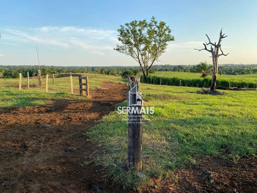 Fazenda à venda, 968000M2 - Foto 8