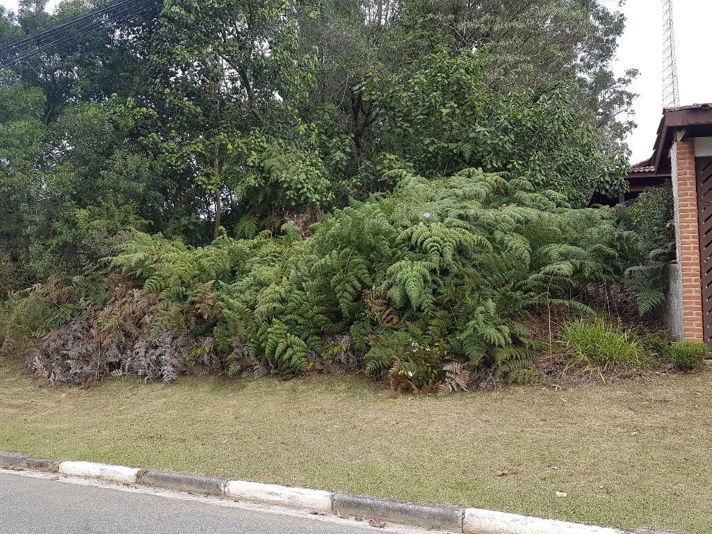 Loteamento e Condomínio à venda, 1060m² - Foto 8