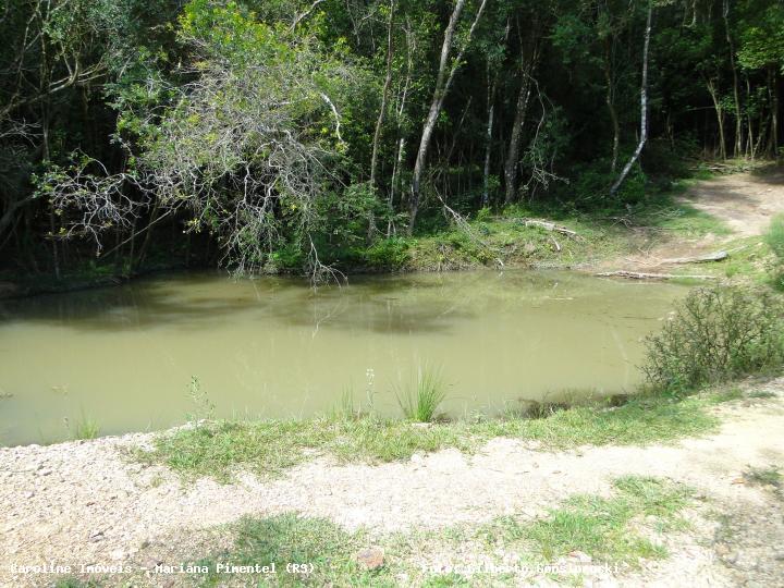 Fazenda à venda com 3 quartos, 160000m² - Foto 10