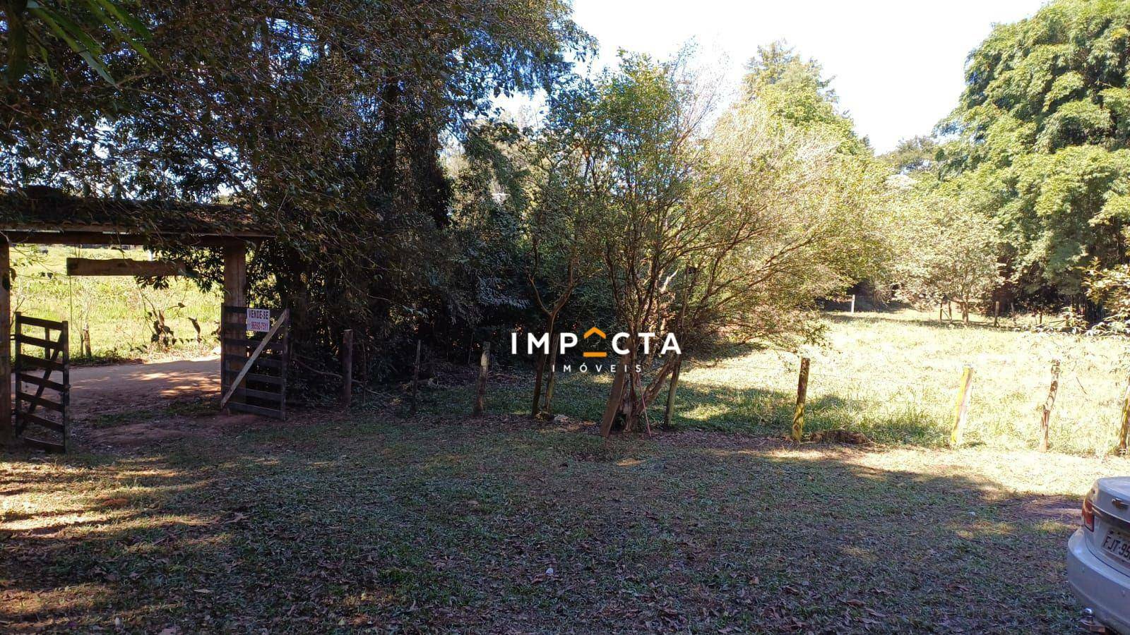 Chácara à venda com 2 quartos, 10500M2 - Foto 10