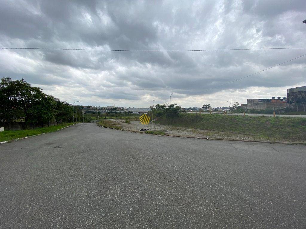 Terreno, 6 hectares - Foto 11