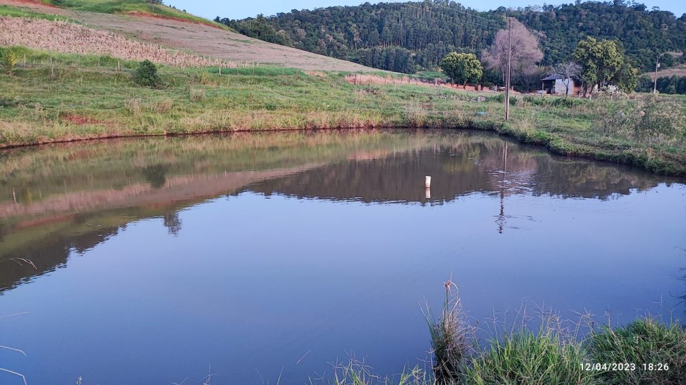 Fazenda à venda, 24m² - Foto 7