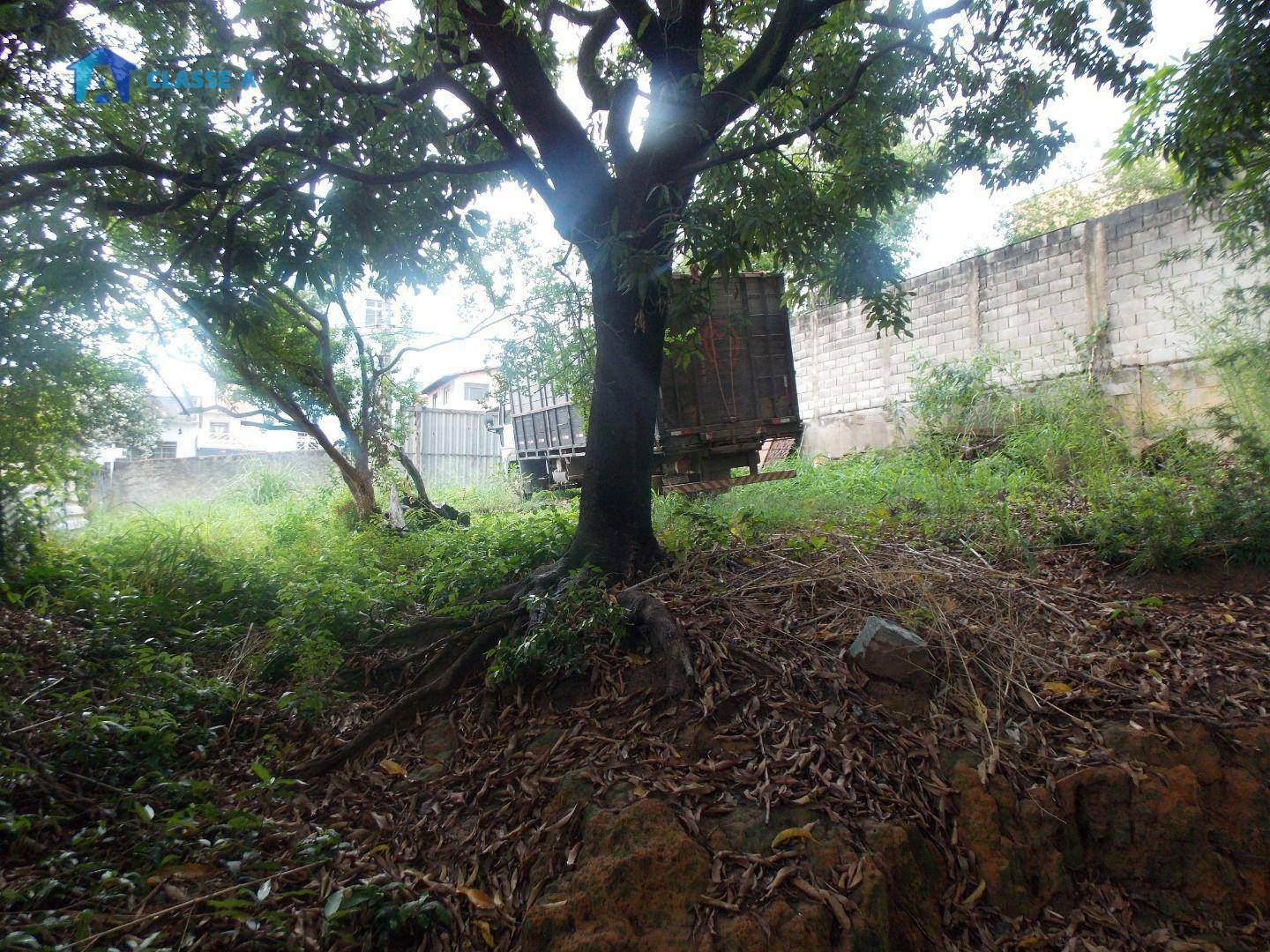 Terreno à venda, 1200M2 - Foto 7