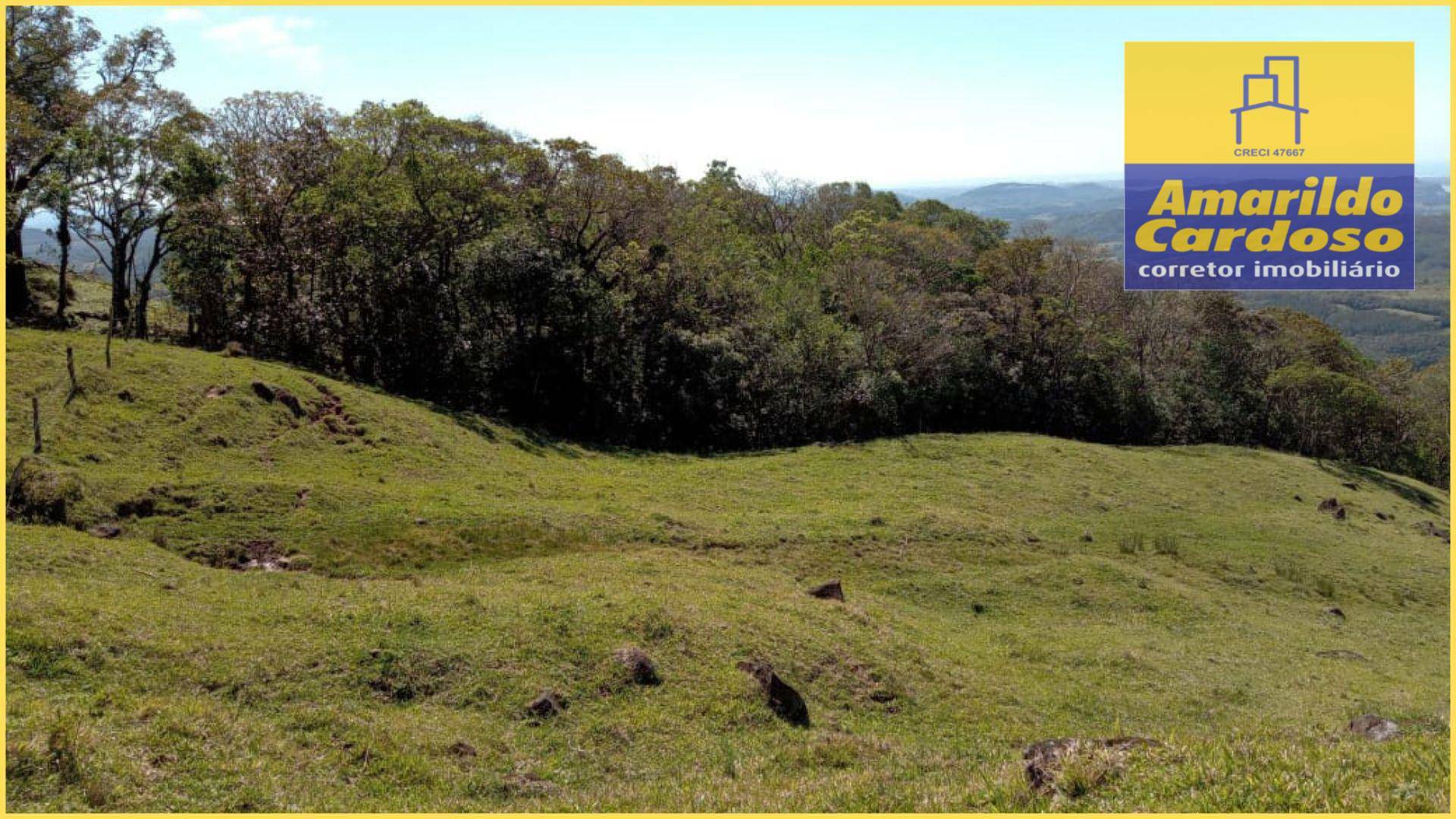 Terreno à venda, 330000M2 - Foto 8