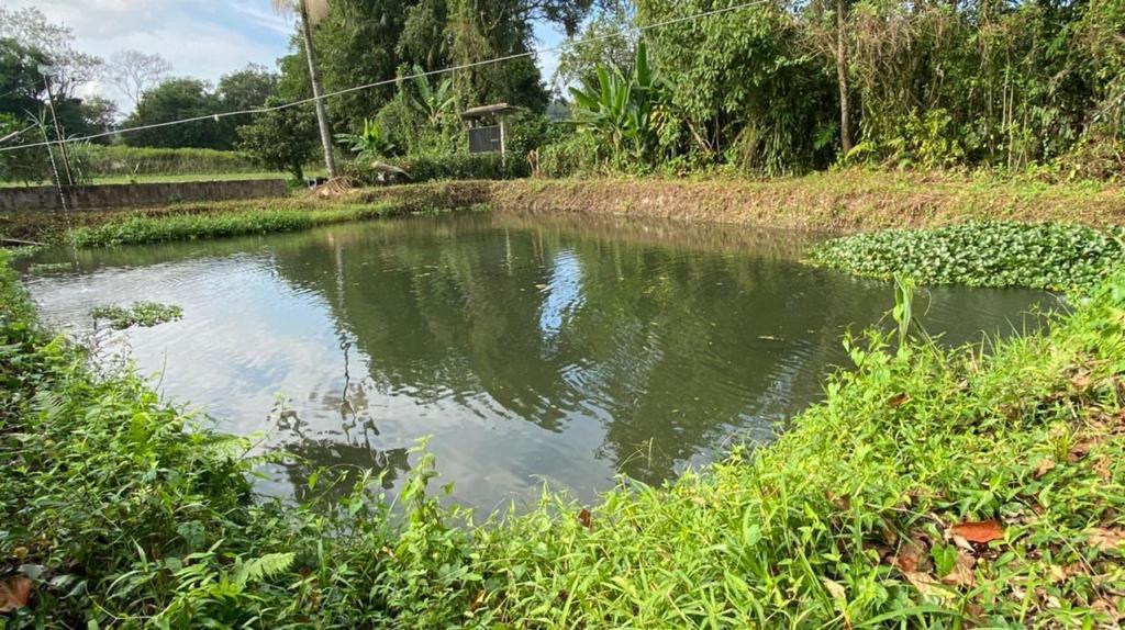 Chácara à venda com 3 quartos, 12000m² - Foto 50