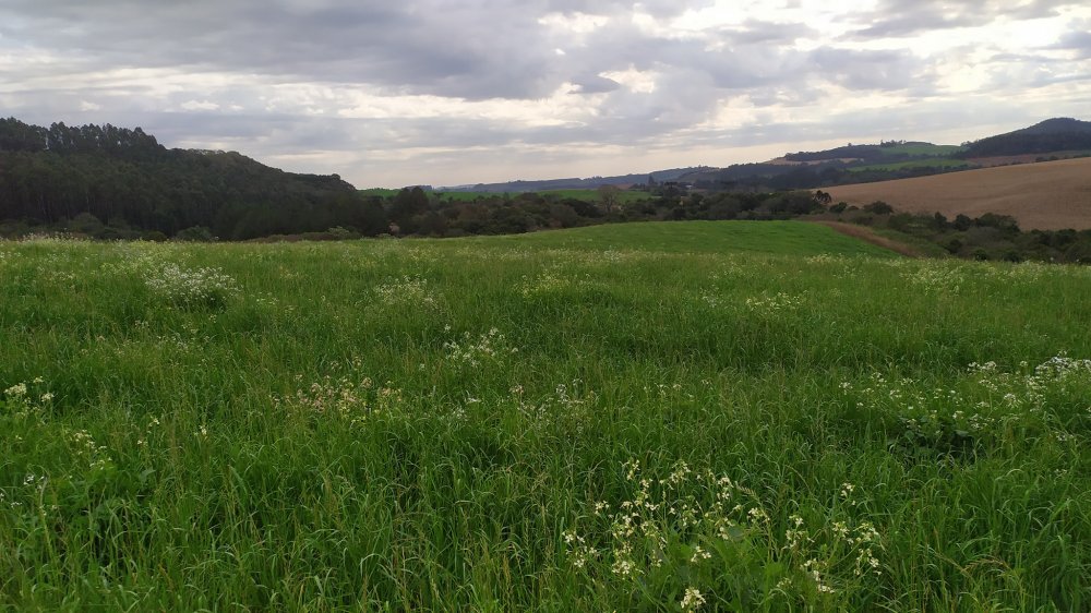 Fazenda à venda, 60m² - Foto 6