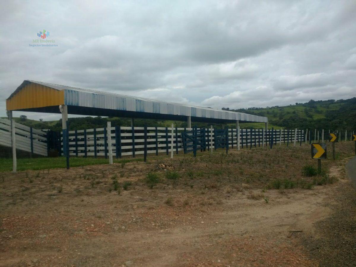 Fazenda à venda com 2 quartos, 1984400m² - Foto 13