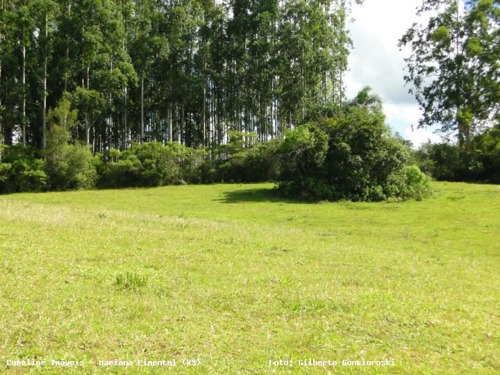 Fazenda à venda com 3 quartos, 160000m² - Foto 29