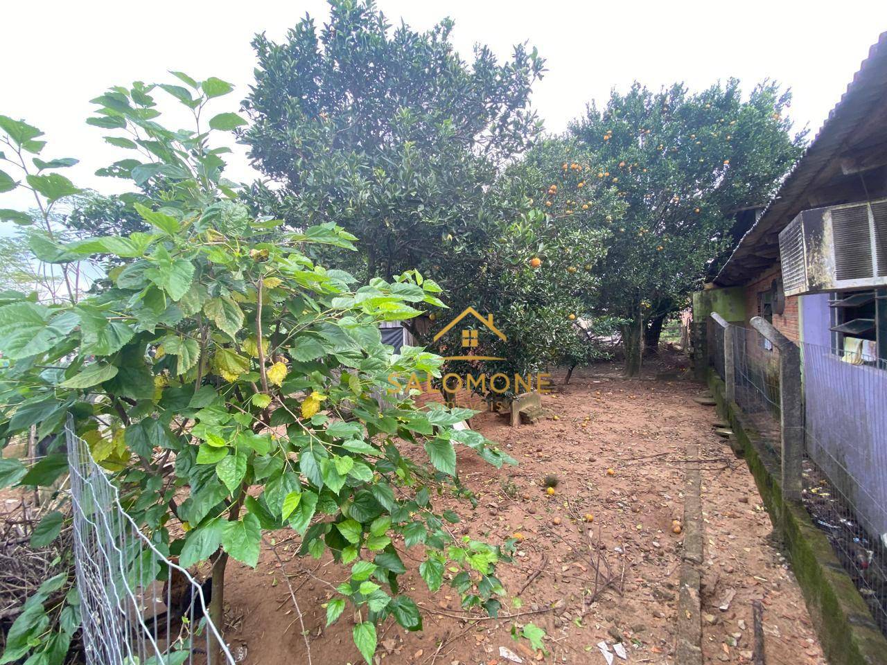 Sítio, 4 quartos, 500 m² - Foto 5