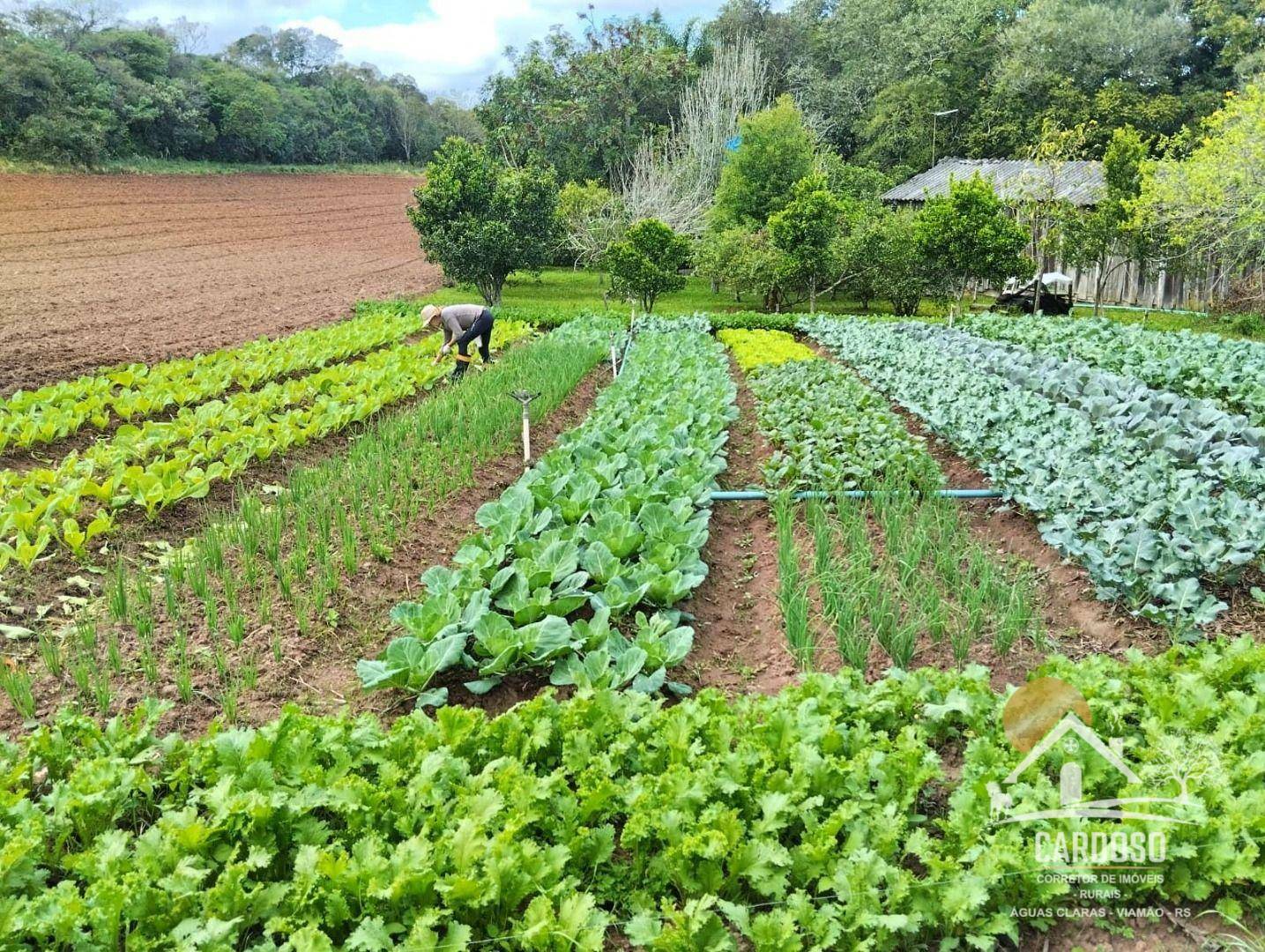 Sítio à venda, 100000M2 - Foto 1