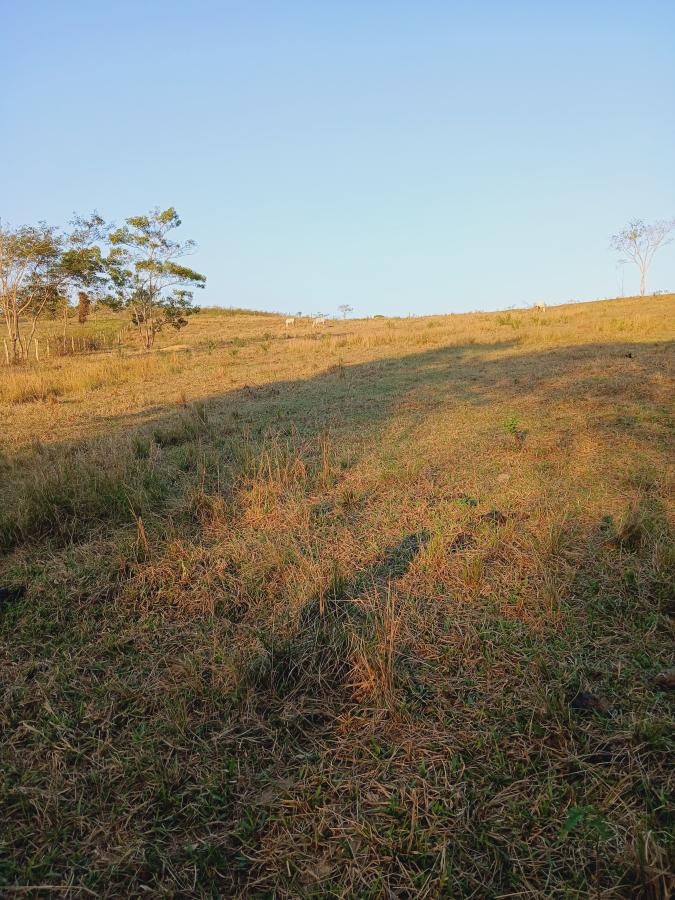 Fazenda à venda com 2 quartos, 146000m² - Foto 23