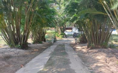 Fazenda à venda com 4 quartos, 50000m² - Foto 12