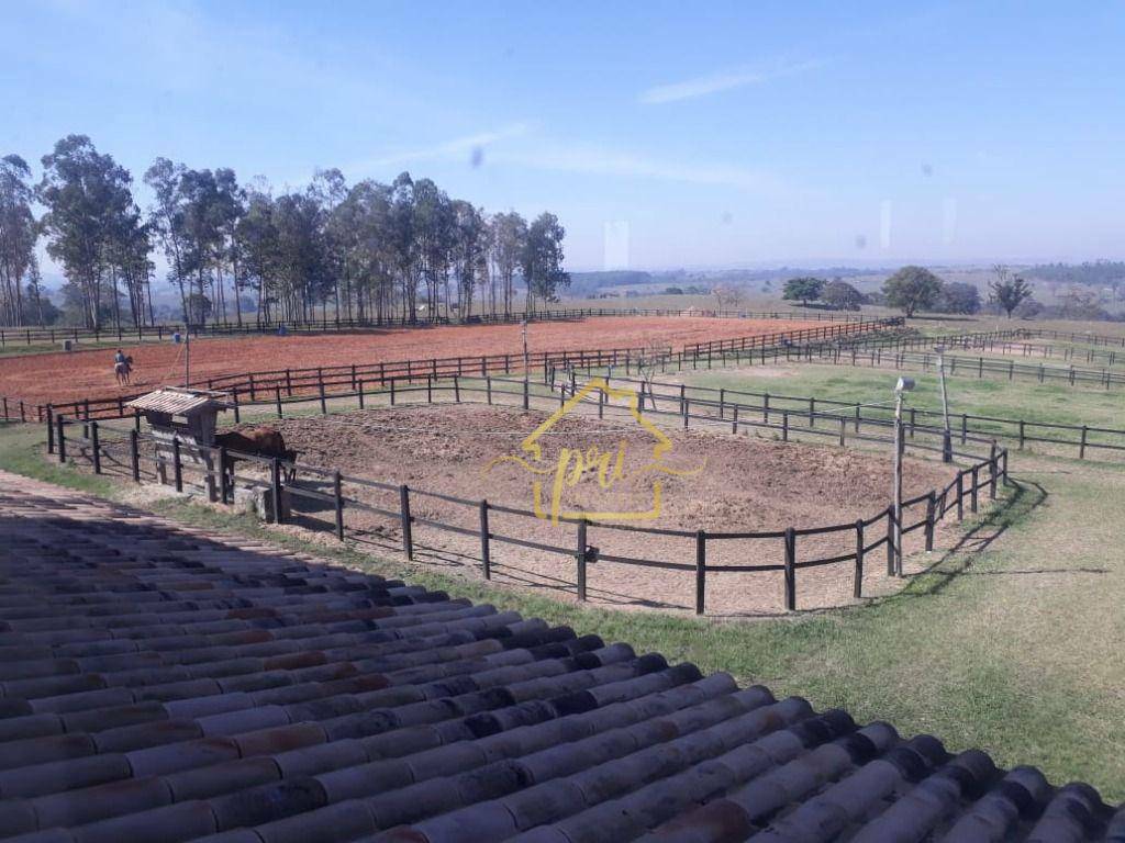 Haras e Área Rural Padrão à venda com 4 quartos, 1000m² - Foto 8