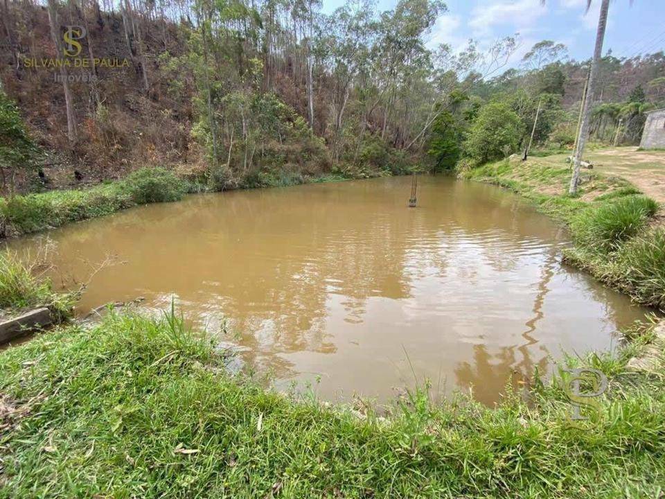 Sítio à venda com 8 quartos, 400m² - Foto 36