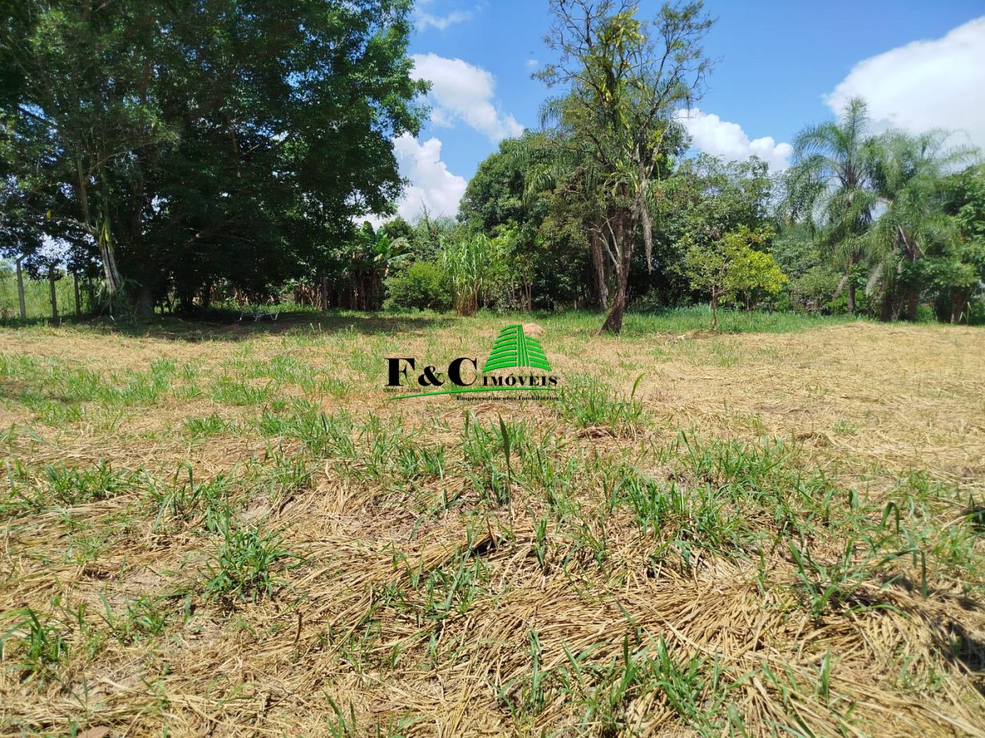 Chácara à venda com 4 quartos, 11200m² - Foto 13