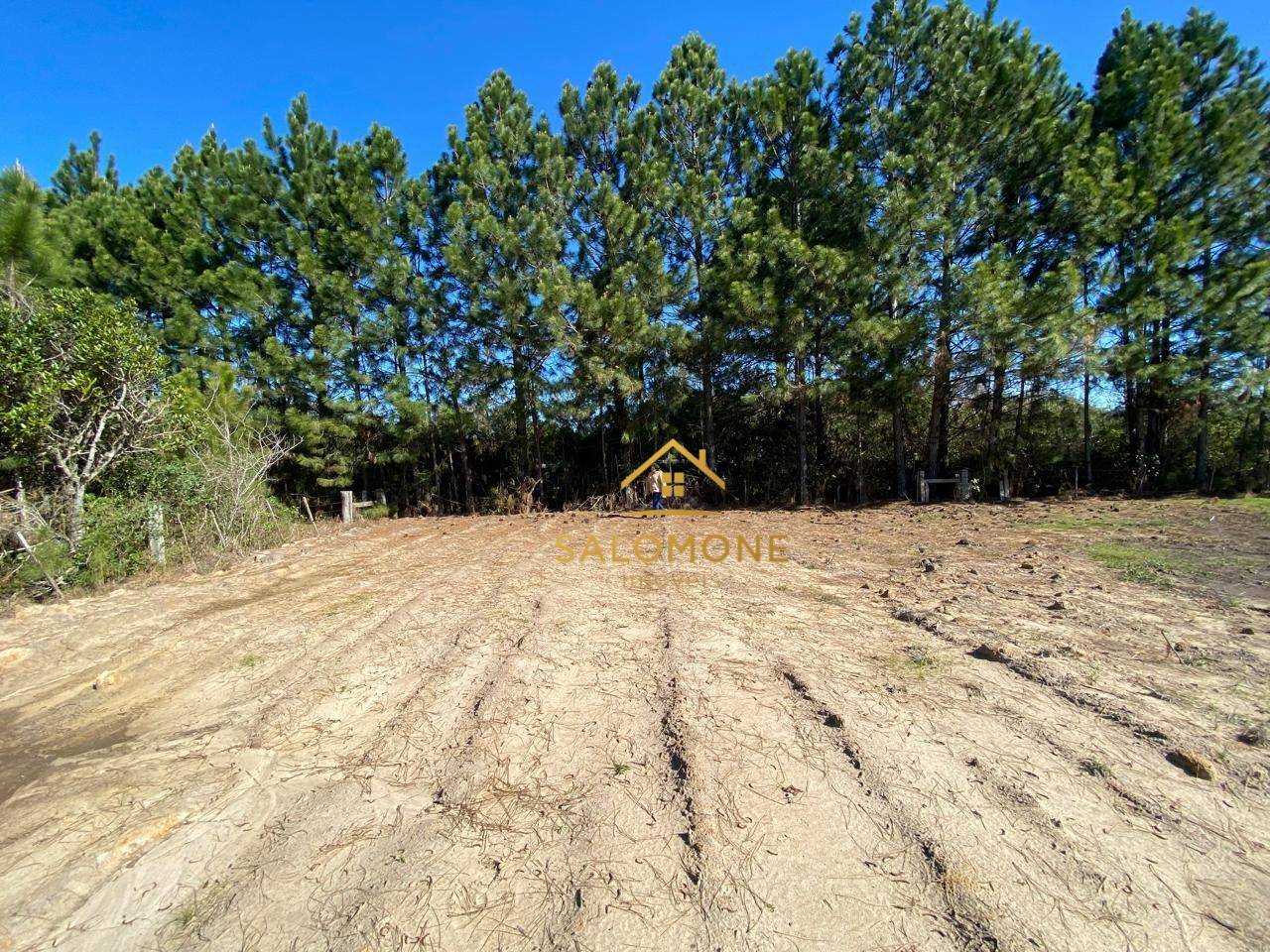 Terreno, 2 hectares - Foto 5