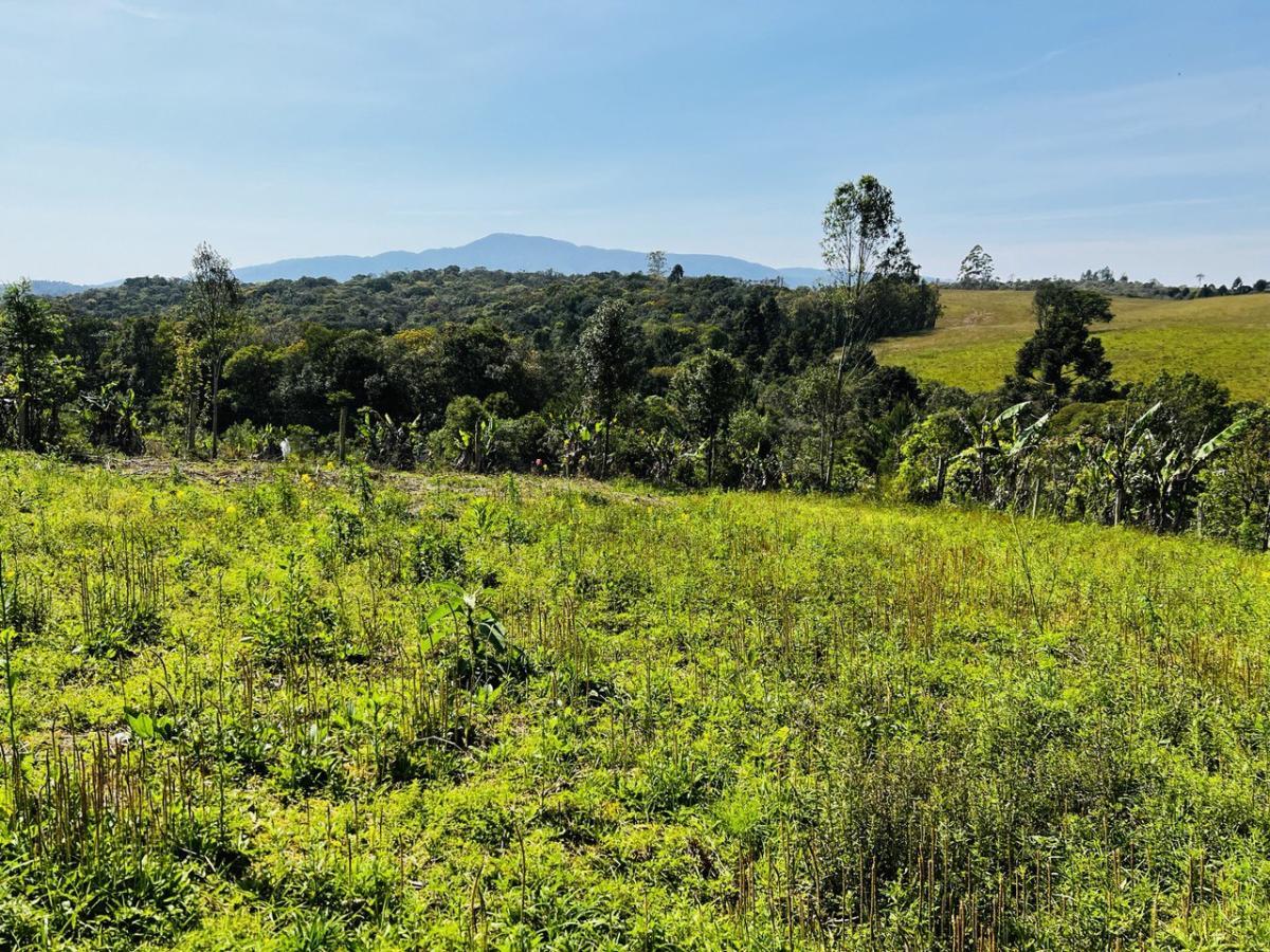 Fazenda à venda, 6300m² - Foto 35