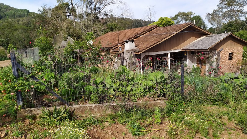 Fazenda à venda com 4 quartos, 12m² - Foto 14