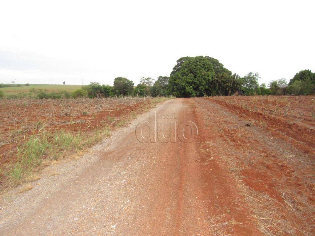 Terreno para alugar, 24200M2 - Foto 19