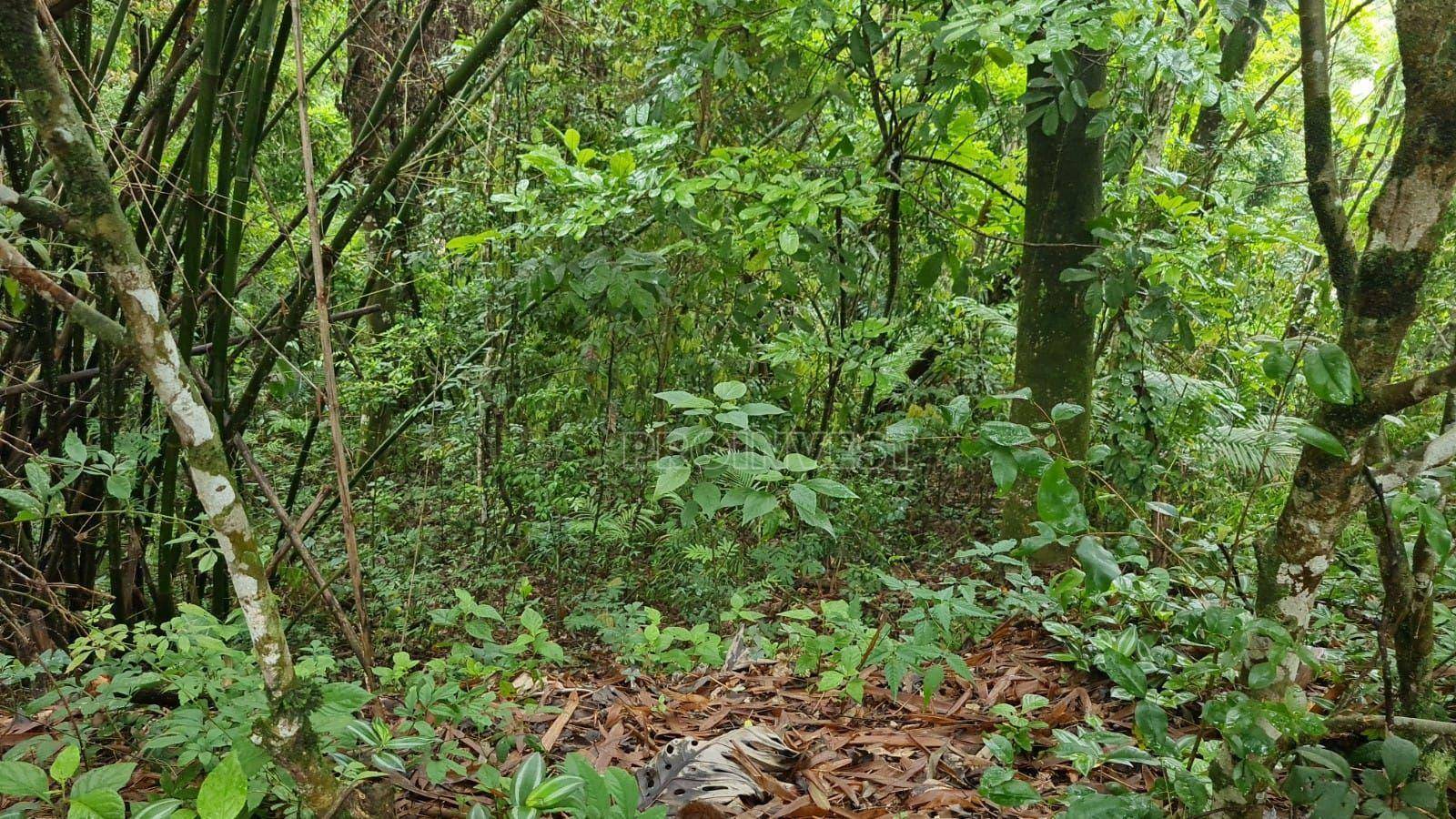 Loteamento e Condomínio à venda, 1250M2 - Foto 25